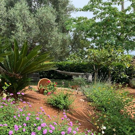B&B All'Ombra Degli Ulivi Ostuni Eksteriør billede