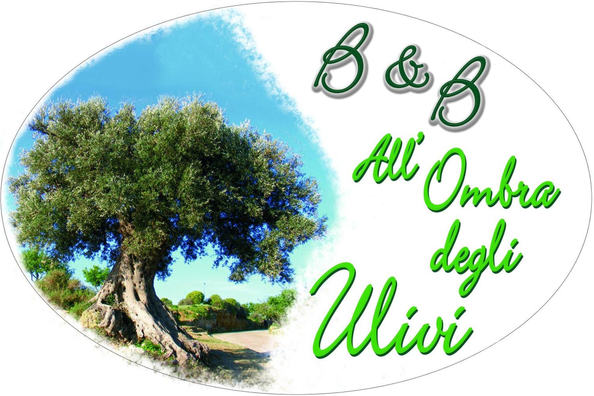 B&B All'Ombra Degli Ulivi Ostuni Eksteriør billede