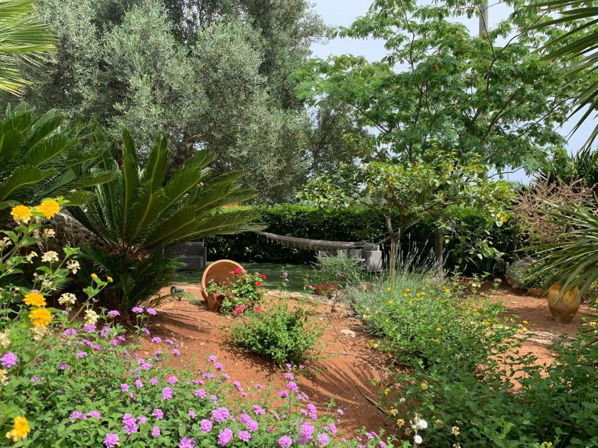 B&B All'Ombra Degli Ulivi Ostuni Eksteriør billede
